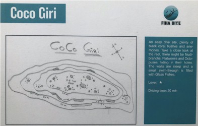 Coco Bodu Giri